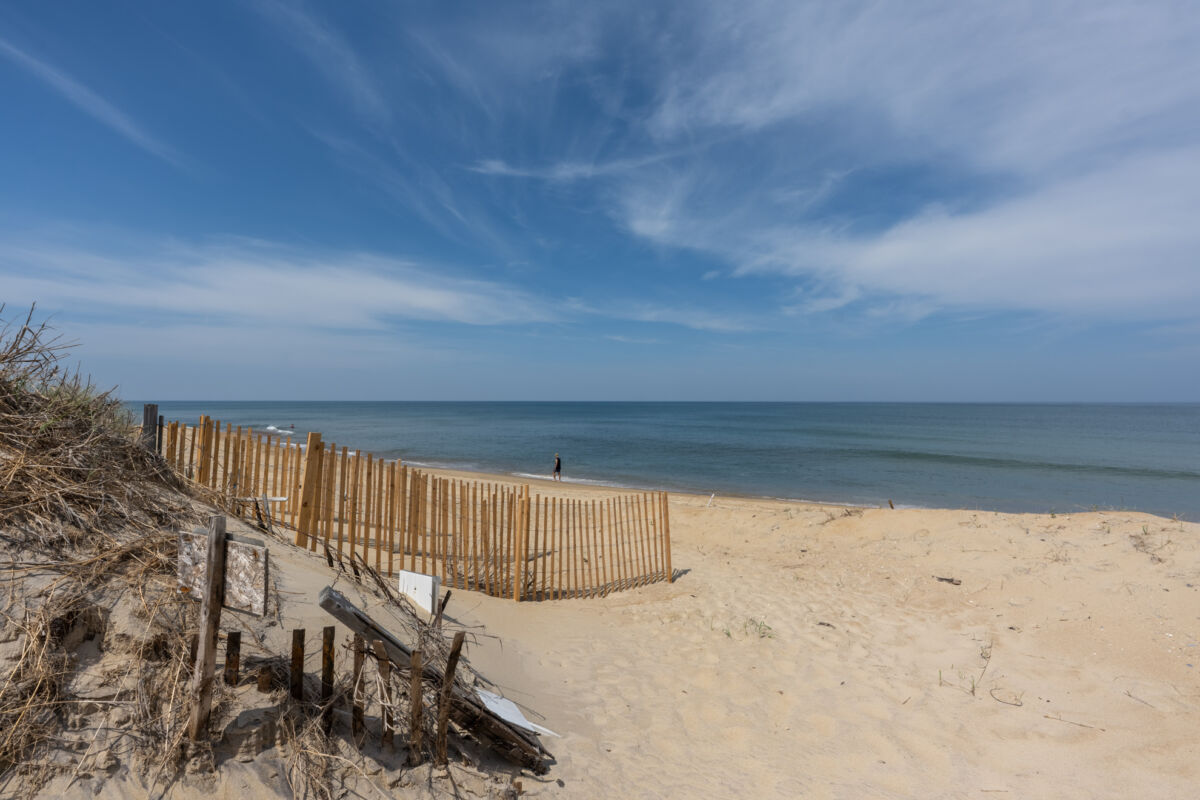 Corolla day trip: wild horses, a red-brick lighthouse & more