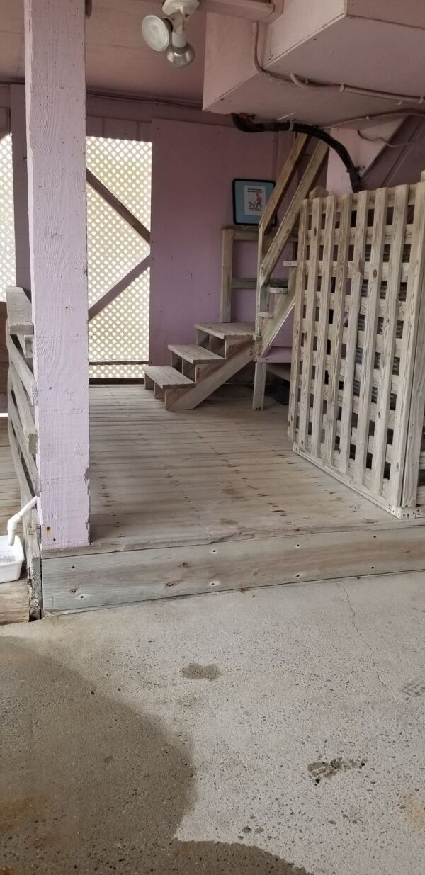 A Carolina Conch oceanfront rental Kitty Hawk NC - photo 9